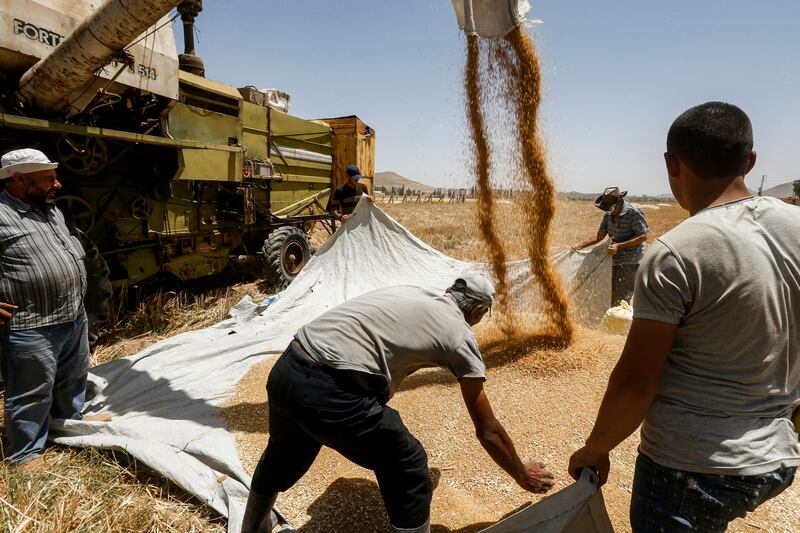 Farmers spread around wheat kernels unloaded from a combine harvester before being packaged into sacks, in a field in the countryside of al-Kaswa, south of Syria's capital Damascus on June 18, 2020. - Heavy rain and reduced violence provided a relief to Syrian farmers with a good harvest this year, as a tanking economy leaves millions hungry across his war-torn country. Prior to the outbreak of the conflict in 2011, Syria produced more than 4.1 million tonnes of wheat, enough to feed its entire population. But production plunged to record lows during the war, boosting reliance on imports, mainly from regime ally Russia. 