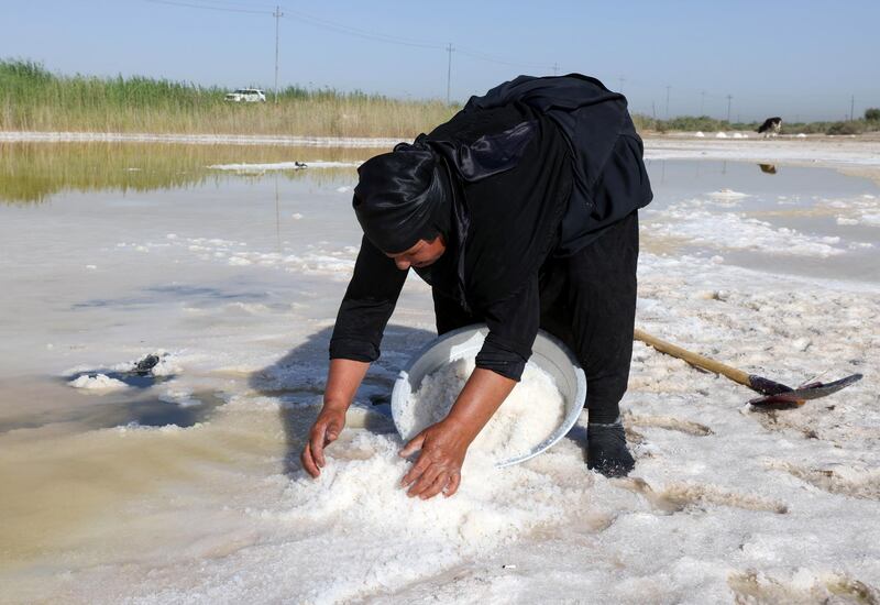 An Iraqi woman collects salt, a seasonal activity that enables Diwaniyah locals to feed their families. Many collectors describe the salt as a gift from God. Reuters