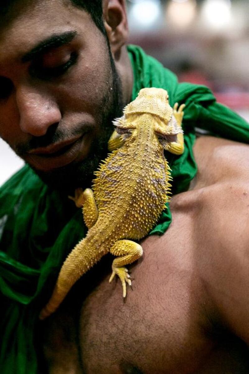 Emirati wrestler Crytpid, real name Hammad Mohammed, with his pet lizard at a Dubai Pro Wrestling show. Reem Mohammed / The National