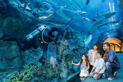 Courtesy Dubai Aquarium & Underwater Zoo 