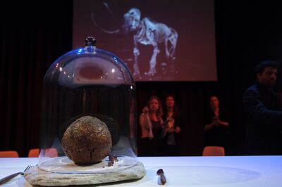 A meatball made using genetic code from the mammoth is seen at the Nemo science museum in Amsterdam in March. AP Photo