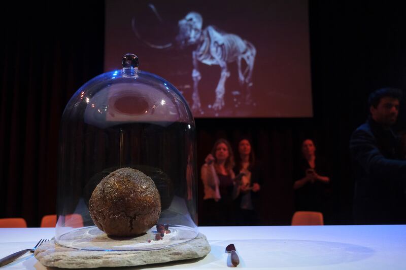 A meatball made using genetic code from the mammoth on display at the Nemo Science Museum in Amsterdam. AP