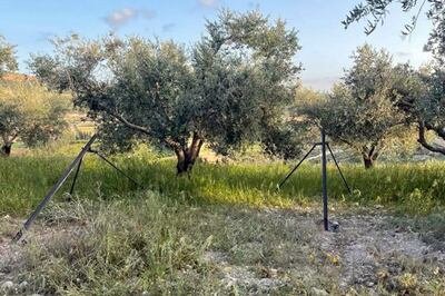 Two missile launchers set up in an olive grove near Qlaileh village outside Tyre in south Lebanon. EPA