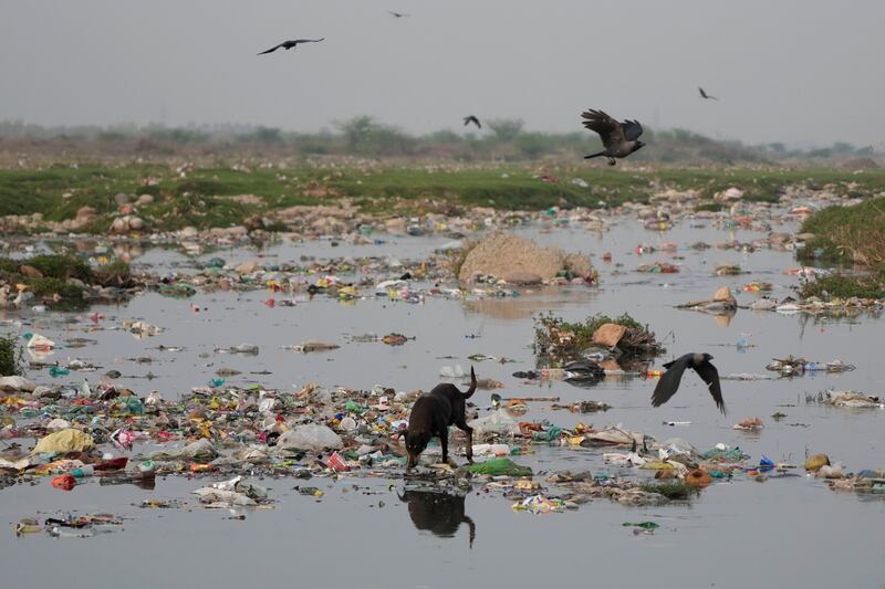 The polluted waters of the Tawi river in Jammu, India. AP 