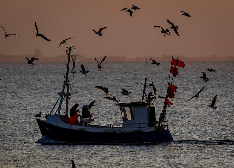 Seagulls follow a fishing boat on the Baltic Sea near Timmendorfer Strand, northern Germany. AP Photo
