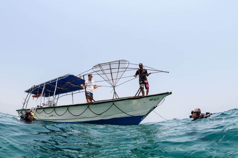 Divers deploy artificial reefs from a boat on Saturday