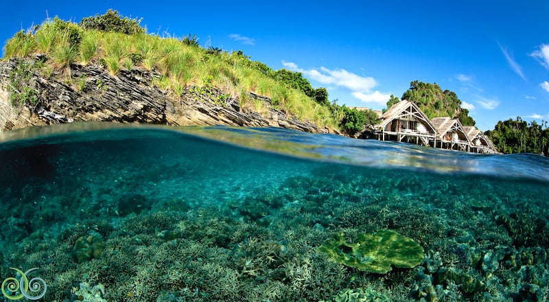 Explore the deep blue at Misool Eco Resort in Indonesia. Photo: Misool