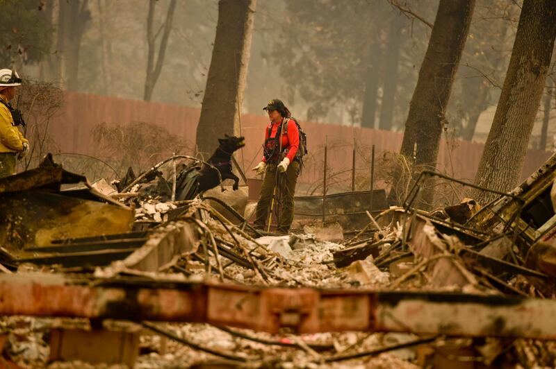 Butte County Search and Rescue worker Noelle Francis and search dog Spinner look through the ashes for survivors and remains in Paradise. AP Photo