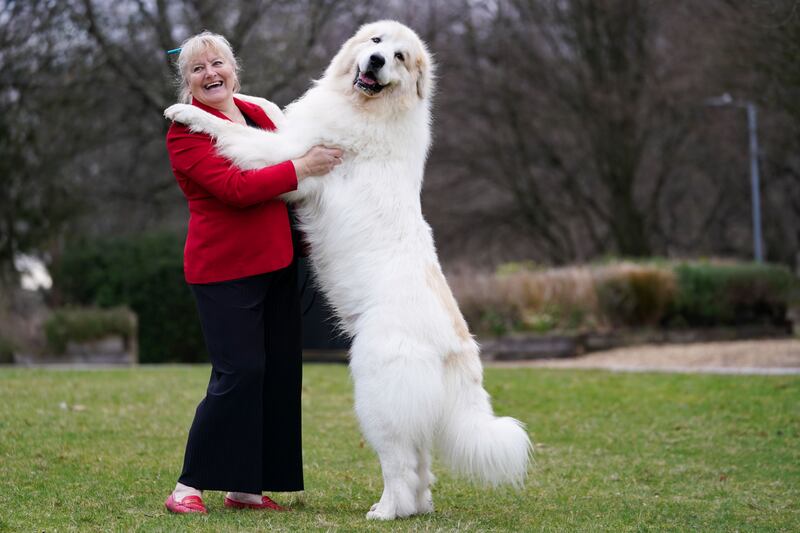 Susan Reilly and her Pyrenean mountain dog Boris. PA