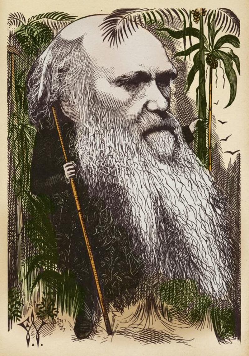 To question Charles Darwin’s scientific status, Wolfe uses Alfred Russel Wallace. Photo by Fototeca Gilardi / Getty Images