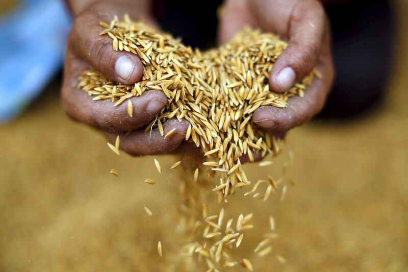 A Thai rice mill worker holds up rice fallen onto the ground in Udon Thani. Jorge Silva / Reuters