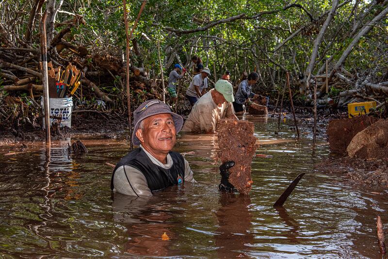 Winner, Mangroves & Stories, Lorenzo Mittiga, Netherlands Antilles. Photo: Lorenzo Mittiga / Mangrove Photography Awards