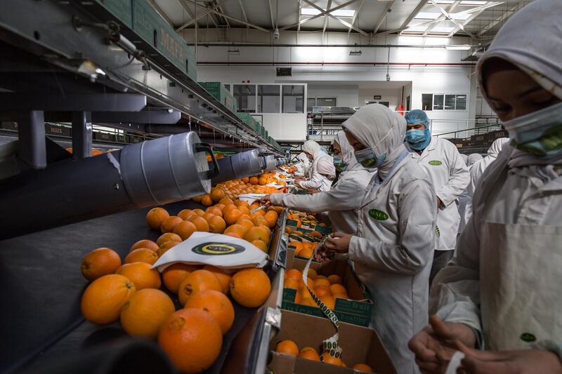 Mafa has more than 2,000 full-time workers. The company also hires thousands of day labourers each year, according to news reports. Getty Images