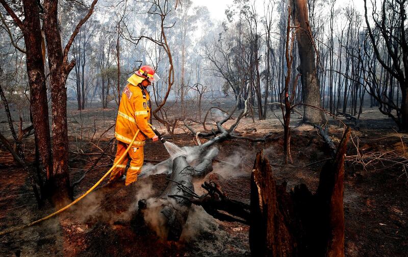A firefighter works to contain a bushfire near Taree, New South Wales, Australia.  EPA