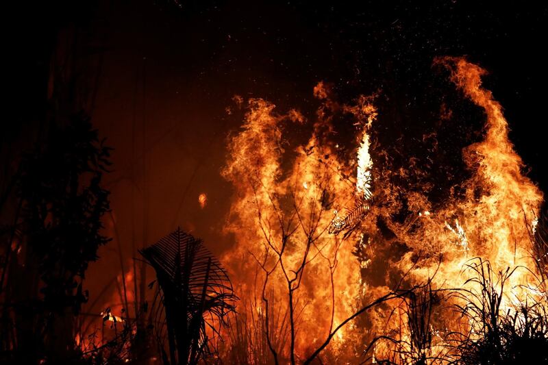 A fire burns a tract of Amazon jungle as it is cleared by loggers and farmers near Altamira, Brazil. Reuters