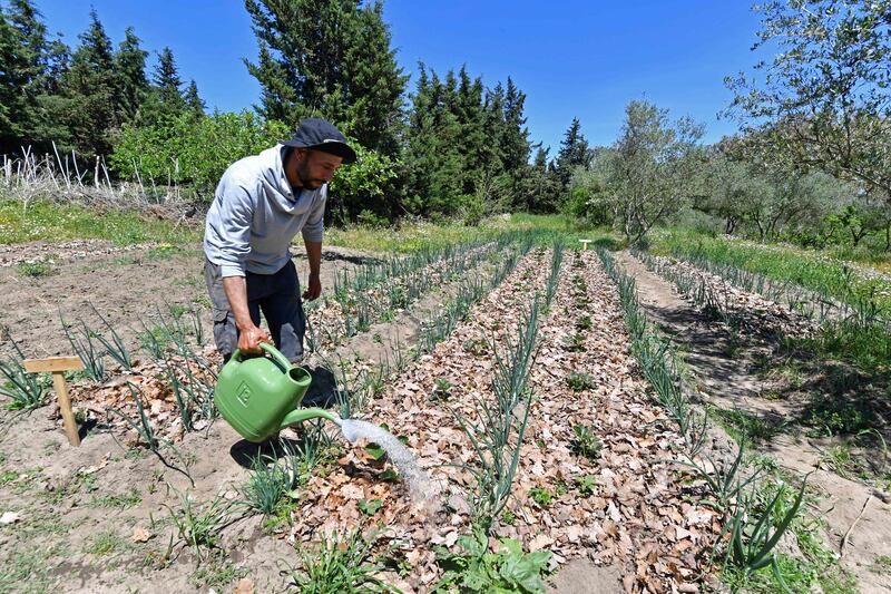 Saber Zouani started a permaculture farm when he lost his job as a waiter during the Covid pandemic. All photos: AFP