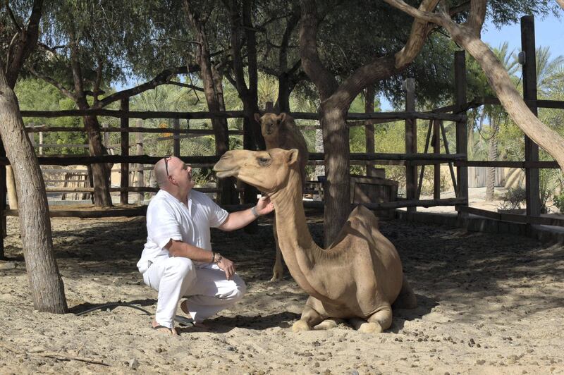 Simon Beckett, experiences manager Six Senses Zighy Bay, brought camels into the resort. Supplied  