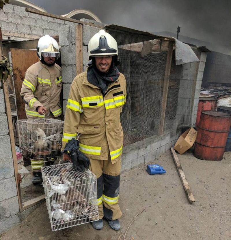 Firefighters in Sharjah rescued ducks, chickens and pigeons being engulfed in flames. Courtesy Sharjah Cvil Defence