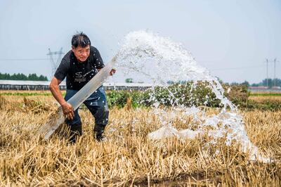 (FILES) In this file photograph taken on June 19, 2020, a farmer waters a cornfield in Weifang, China's eastern Shandong province. Hunger, drought and disease will afflict tens of millions more people within decades, according to a draft UN assessment that lays bare the dire human health consequences of a warming planet. After a pandemic year that saw the world turned on its head, the Intergovernmental Panel on Climate Change's forthcoming report offers a distressing vision of the decades to come: malnutrition, water insecurity, pestilence. Policy choices made now can reduce these health consequences, but many are simply unavoidable in the short term, the report said. It also warns of the cascading impacts that simultaneous crop failures, falling nutritional value of basic food stuffs, and soaring price inflation are likely to have on some of the world's most vulnerable people.
 - China OUT
 / AFP / STR
