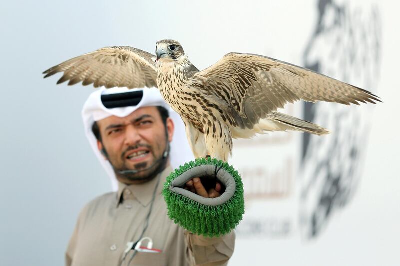 A Saudi man holds his falcon during the Saudi Arabia's King Abdulaziz Falconry Festival in Riyadh. Reuters