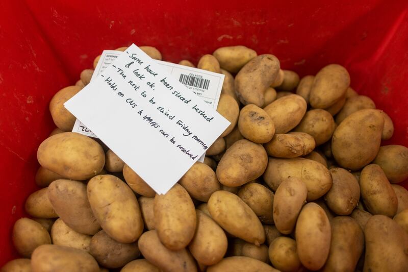 Potatoes to be inspected inside a border control post during a visit ahead of opening at London Gateway port in Stanford-le-Hope, UK, on Friday, April 26, 2024.  EU food imports to the UK are about to get more expensive and complicated as the British government implements the Brexit deal. Photographer: Chris Ratcliffe / Bloomberg