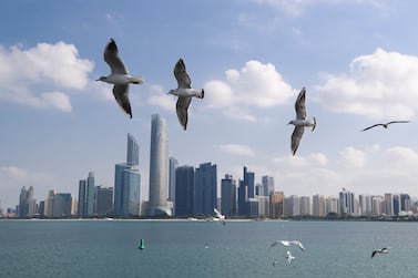 Seagulls at the UAE flag area along the Corniche in Abu Dhabi on the first morning of 2023. Victor Besa / The National