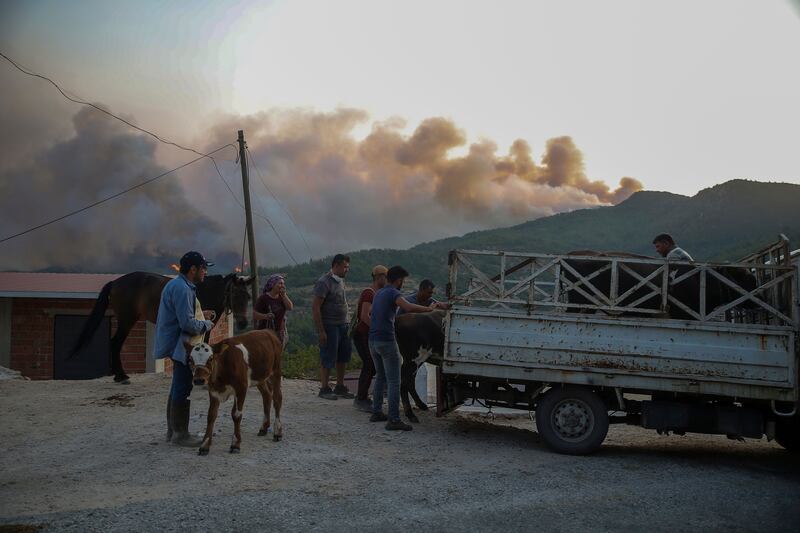 Turkish President Recep Tayyip Erdogan’s government has come under intense criticism over an alleged slow response and inadequate preparedness for large-scale fires.