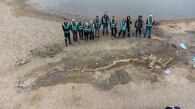 Palaeontologists with the ichthyosaur skeleton.