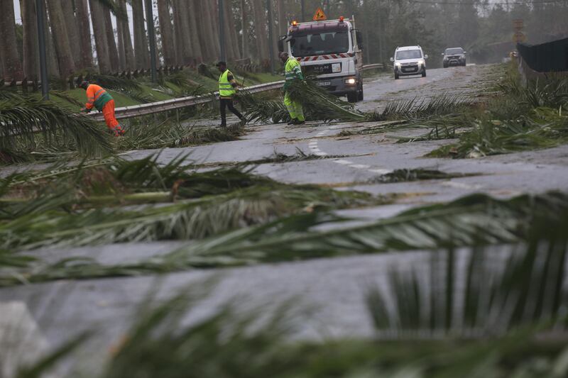 Workers remove fallen tree branches from a road in the Guadeloupe island which was hit by Hurricane Maria, September 19, 2017. REUTERS/Andres Martinez Casares