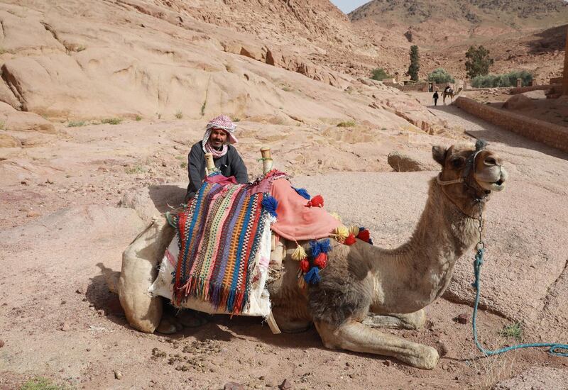 A Bedouin man waits with a camel in front of the monastery of St Catherine in Saint Catherine city, South Sinai, Egypt. EPA