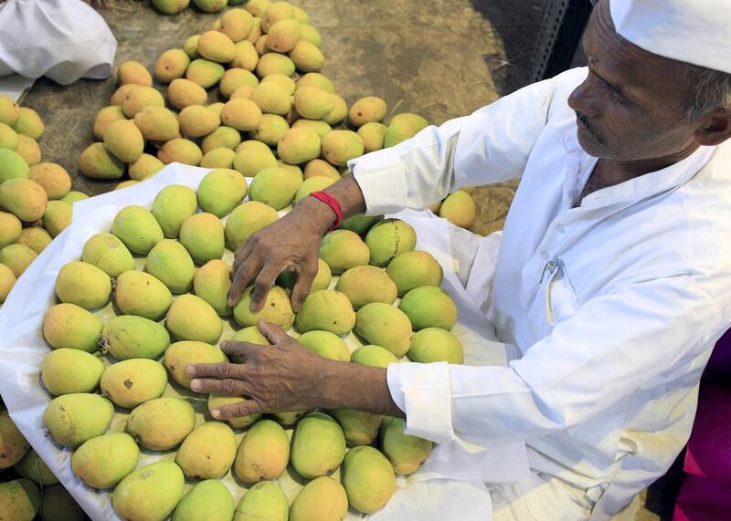 Indian Alphonso mangoes being sorted and packed before they go on sale at Crawford Market. Subhash Sharma for The National