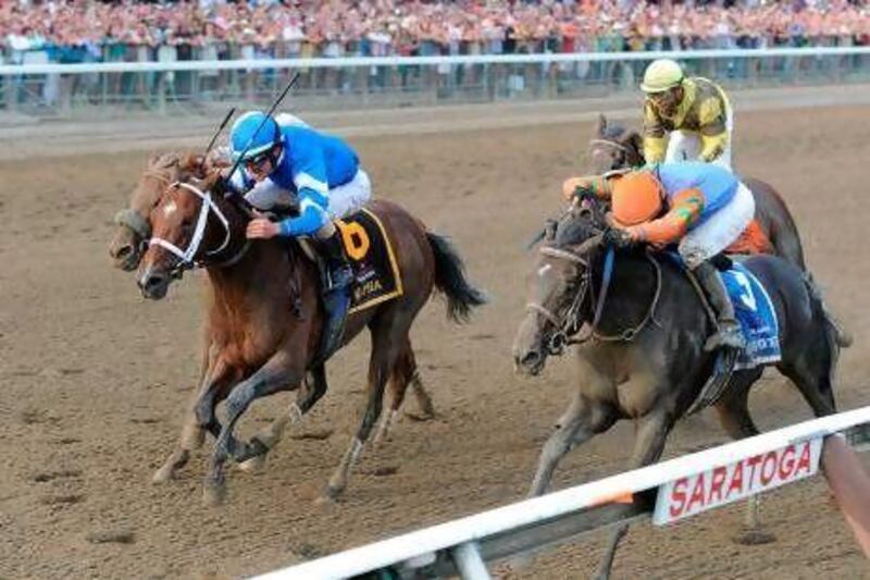 Alpha, left, with Ramon A Dominguez aboard, and Golden Ticket, right, with jockey David Cohen up finishing in a Dead Heat for Grade I Travers Stakes at Saratoga Racecourse.