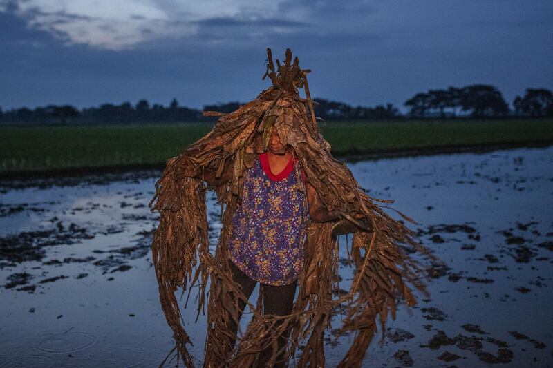 Devotees covered in mud and dried banana leaves take part in the Taong Putik ("mud people") Festival  in the village of Bibiclat in Aliaga town, Nueva Ecija province, Philippines. Each year, the residents of Bibiclat village in Aliaga town celebrate the Feast of Saint John by covering themselves in mud, dried banana leaves, vines, and twigs as part of a little-known Catholic festival. Getty Images