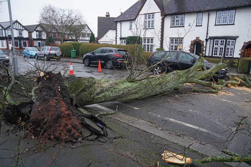 A car damaged by a fallen tree after high winds and wet weather in Liverpool. PA