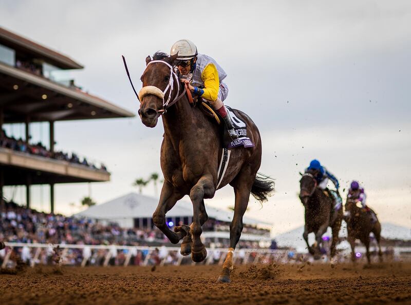 DEL MAR, CA - NOVEMBER 03: Forever Unbridled #6, ridden by John Velazquez crosses the line first in the Breeders' Cup Distaff at Del Mar Thoroughbred Club on November 03, 2017 in Del Mar, California. (Photo by Alex Evers/Eclipse Sportswire/Breeders Cup via Getty Images)