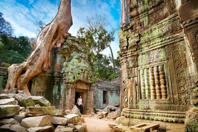 RESIZED F7KTYD Ta Prohm Temple, Angkor, Cambodia, Asia. Jan Wlodarczyk / Alamy Stock Photo