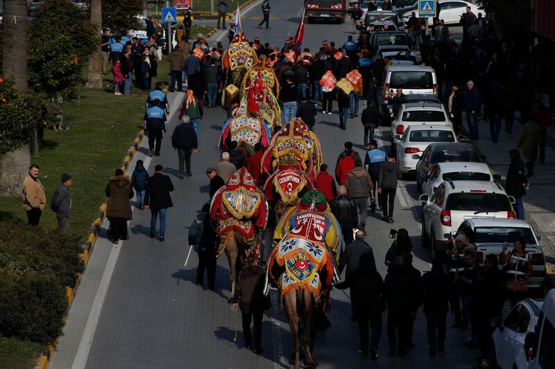 Camel handlers arrive in convoy. AP