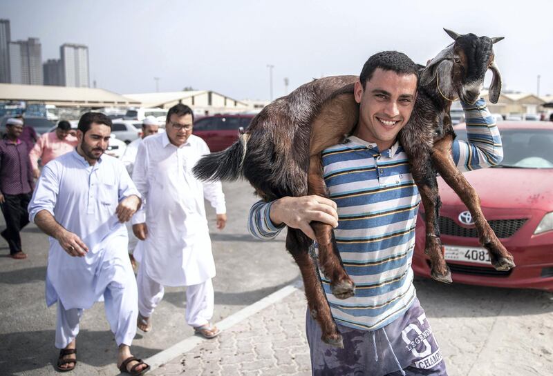 Abu Dhabi, United Arab Emirates, August 11, 2019.   Eid Al Adha at the Mina Livestock Market and Abattoir.-- Livestock to be brought to the slaughterhouse across the street for proper butchering.Victor Besa/The National
Section:  NA
Reporter: John Dennehy