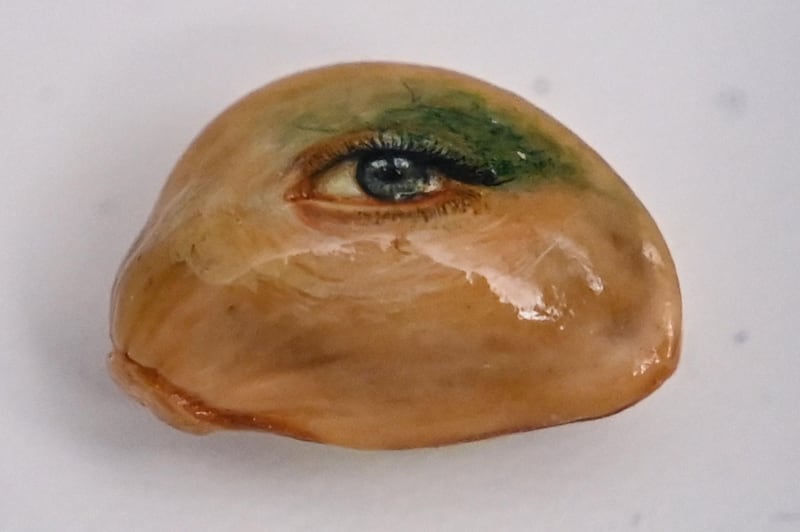 An eye painted on a fruit seed