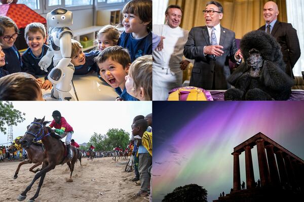 This week's selection includes Messi the dog at Cannes, the northern lights over Scotland and Real Madrid celebrating 