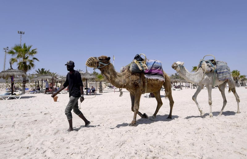 A man and his camels on the beach atn the Tunisian Mediterranean resort of Sousse. AFP