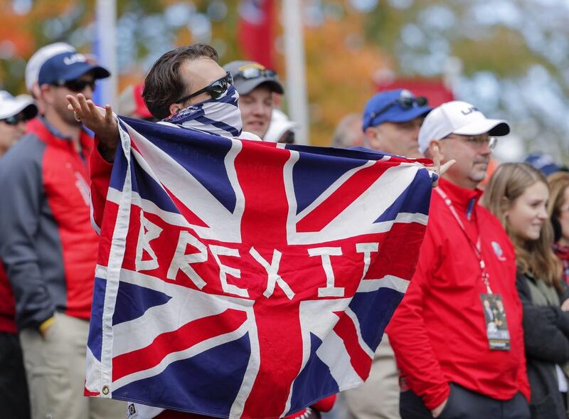 A Brexit supporter. Erik S Lesser / EPA