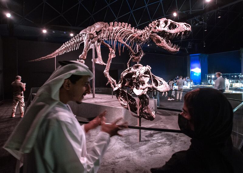 Stan was discovered in South Dakota in 1987 by amateur palaeontologist Stan Sacrison, after whom the fossil was named, and who saw the dinosaur's pelvis on the side of a cliff when he was inspecting plants.