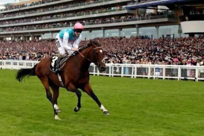 Frankel wins The Queen Anne Stakes at Royal Ascot in June. The Sir Henry Cecil-trained horse today bids for a 13th consecutive victory in the Juddmonte International Stakes. Stefan Wermuth / Retuers