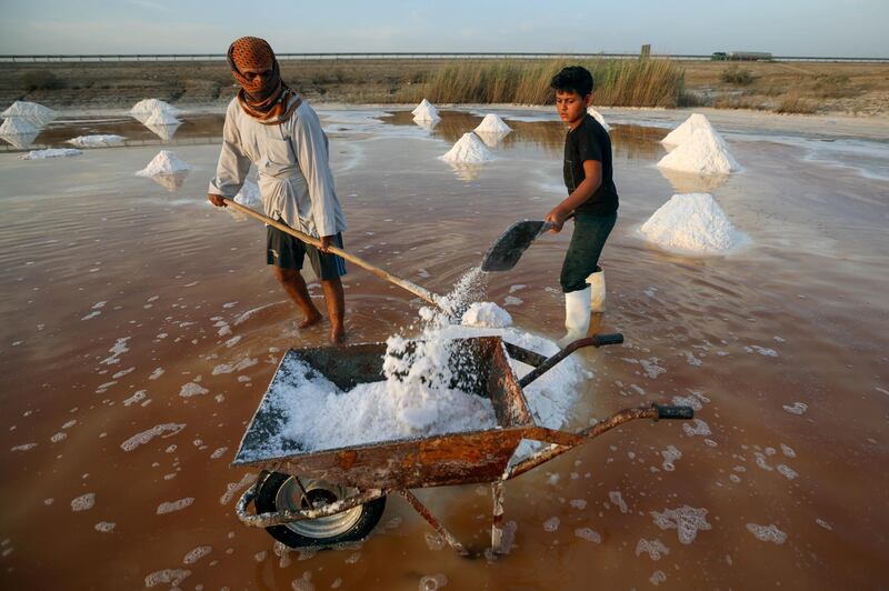 People collect salt, which will later be sold in markets, at a salt pond in Diwaniyah. Reuters