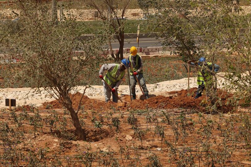 Workers plant trees next to a highway in the Saudi capital Riyadh, on March 29, 2021. - Although the OPEC kingpin seems an unlikely champion of clean energy, the "Saudi Green Initiative" aims to reduce emissions by generating half of its energy from renewables by 2030. (Photo by Fayez Nureldine / AFP)