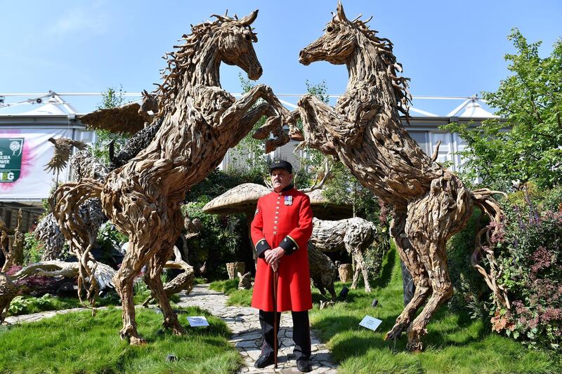 A Chelsea Pensioner is seen at the Chelsea Flower Show in London, England. Jeff Spicer / Getty Images