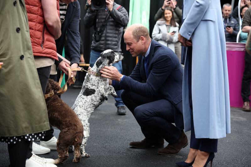 Prince William says hello to a dog during a visit to Trademarket outdoor market in Belfast. Reuters