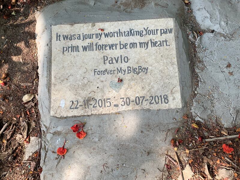 A headstone at the only known pet cemetery in Cairo. Hamza Hendawi / The National