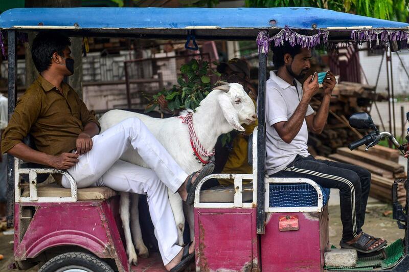 A livestock vendor waits with a goat in a rickshaw in Allahabad. AFP